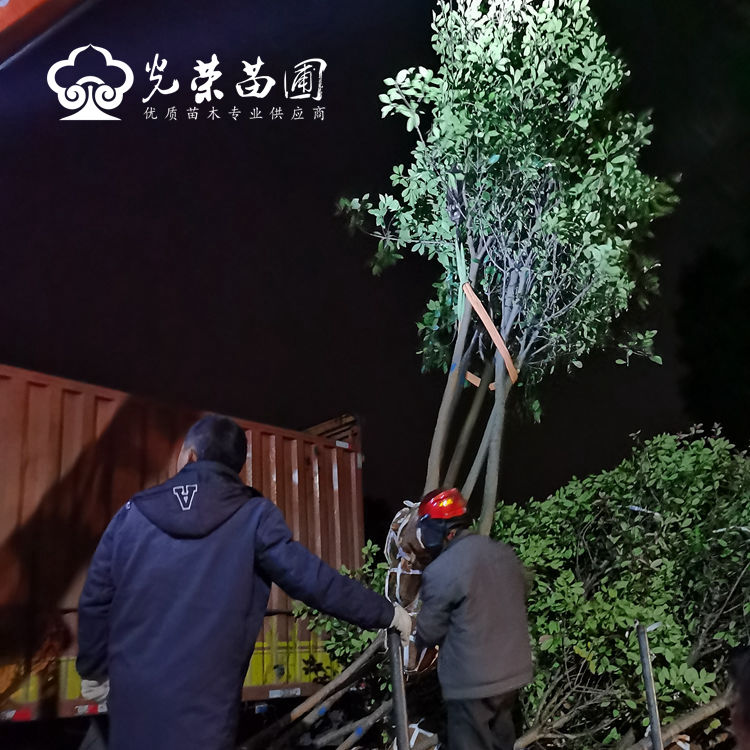 装车时再次查验数量与质量.jpg